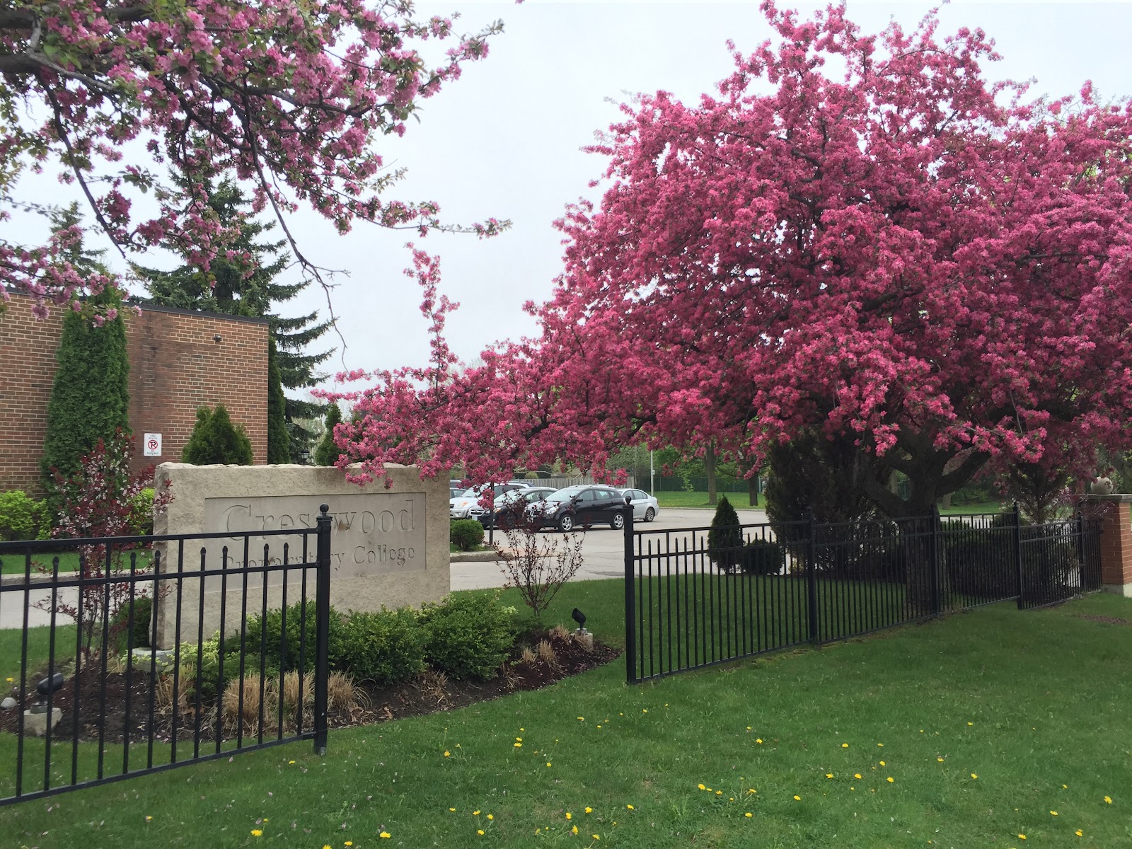 Crestwood Preparatory College